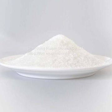Monosodium Glutamate MSG Factory