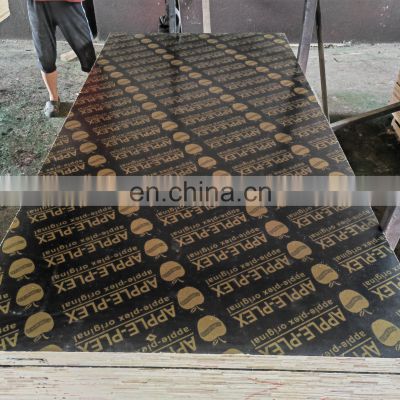 Wbp Glue Plywood Poplar Building for Construction Film Face Plywood Marine plywood Concrete formwork board