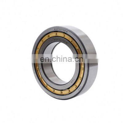 100*160*80MM Full Complement Cylindrical Roller Bearing SL04100PP Bearing