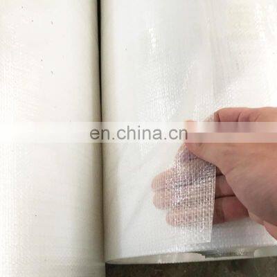 Heavy Duty UV Treated Waterproof Transparent Tarp Clear PE Tarpaulin for Greenhouse Poultry Cover photo-5
