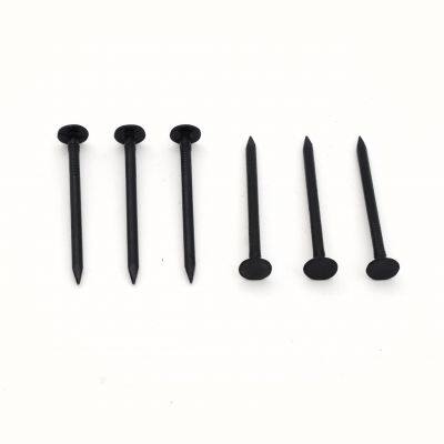 Straight Shank Black Nails Factory Direct Supply With Stable Lead Time photo-2