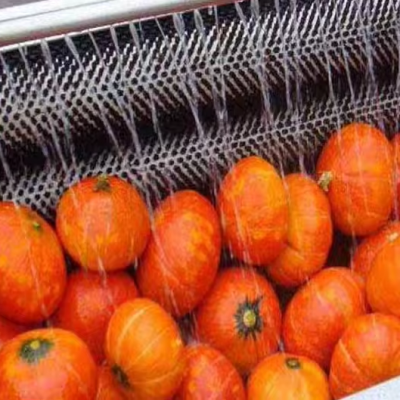 Pumpkin Brush Cleaner Machine
