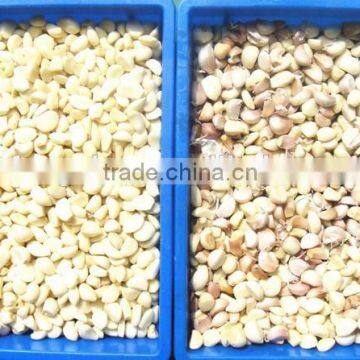 Food Color Sorting Machine From Hefei Angelon Electronics photo-3