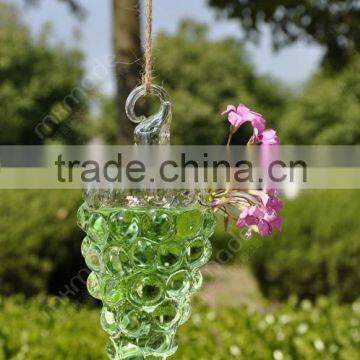 Hanging Water Grape Shaped Glass Vase, Air Plant Terrarium, Flat Bottom,