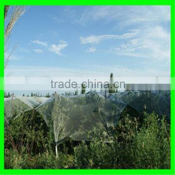 China Factory Supply High Quality HDPE Vegetable Nursery Hail Shade Net for Vegetables With Cheap Price
