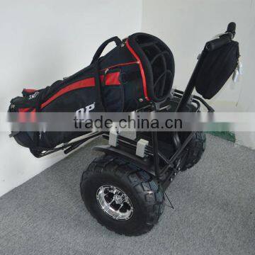Modern mini electric golf cart, electric scooter with golf bag carrier bracket for sightseeing