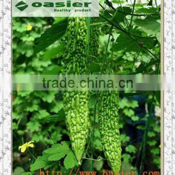 GMP hot sale natural Bitter Gourd Extract powder