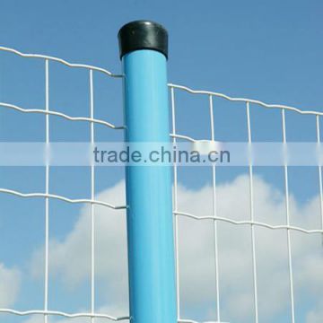 Alibaba china supplier galvanized welded wire mesh