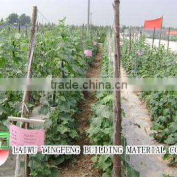 Plant support net