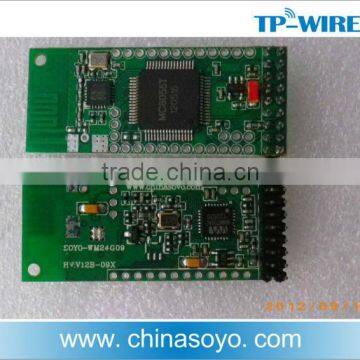 Wireless audio module