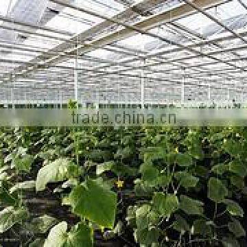 Hot sale greenhouse film for food