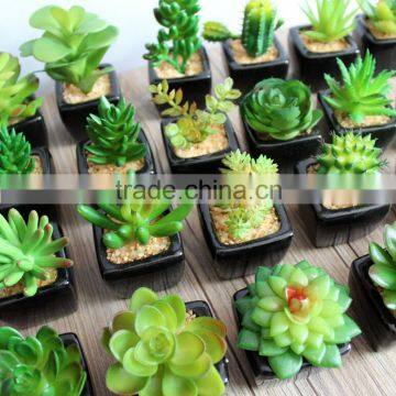 Factory Sale Artificial Succulent Plants Mini Potted Artificial Succulent Plants