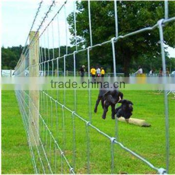 Hot-Dipped Galvanized Hinged Joint Grassland/Field/Cattle Fence