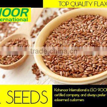 linseeds / flax seeds