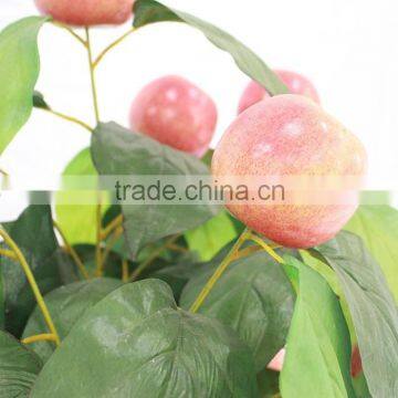 Wholesale Cheap Apple Fruit TREE photo-2