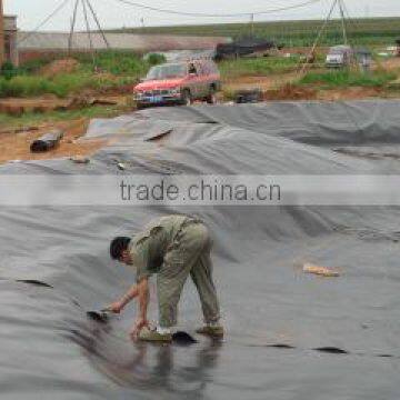 Multifunctional hdpe geomembrane price made in China