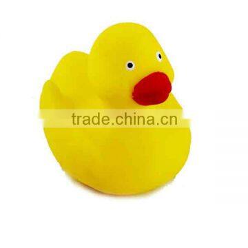 rubber duck