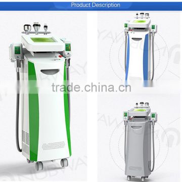 2016 Hot selling body slimming weight loss newest cyrolipolysis cellulite therapy machine