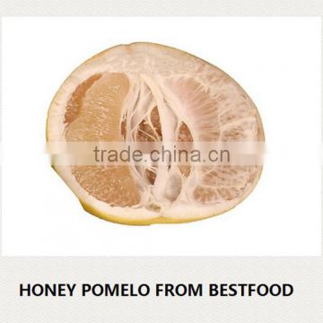 New crop China honey pomelo price