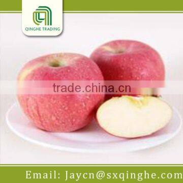 fruit market price fuji apple exporter in china