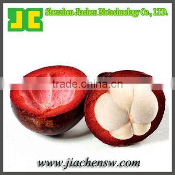natural Mangosteen Extract powder