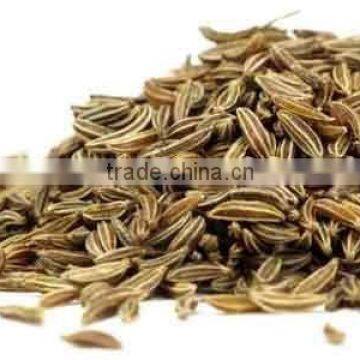 Cumin Seeds photo-2