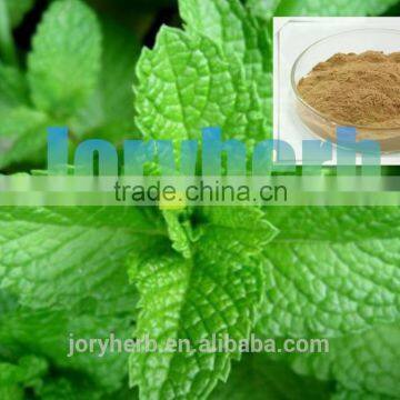 Organic peppermint extract powder