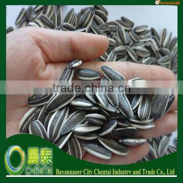 High Quality Price Of Sunflower Seeds China/Raw Seeds 280-300pcs/50g