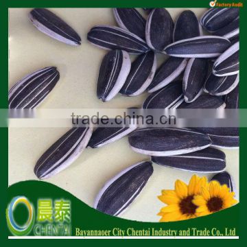 Hot Sell The Biggest Export Factory Sunflower seeds 5009