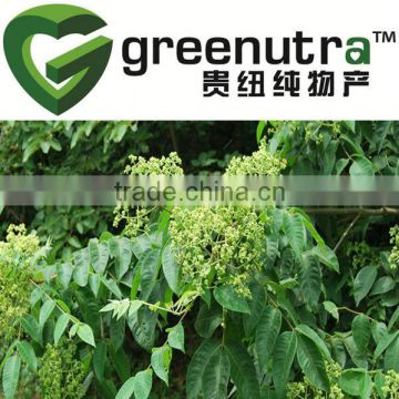 rutaecarpine evodia rutaecarpa extract