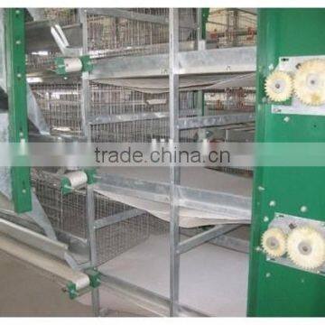 Best Selling Quail Cage For Sale in Quail Farm photo-6