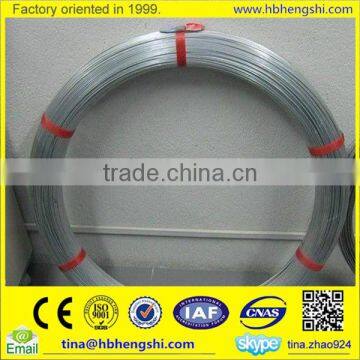Reasonable Price Galvanized Steel Wire / Electro Galvanized Iron Wire photo-2
