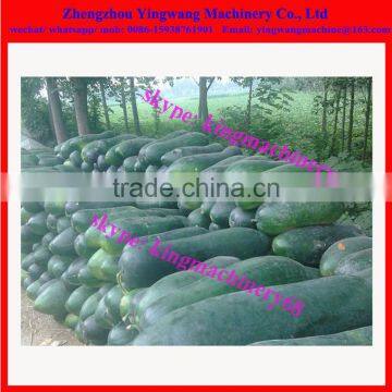 Wax Melon Skin Removing Machine 0086-15938761901 photo-3