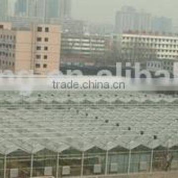 Winter Greenhouse photo-2