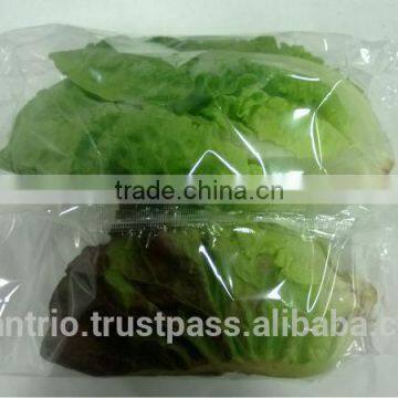 Fresh Vegetable Packaging Machine. photo-4