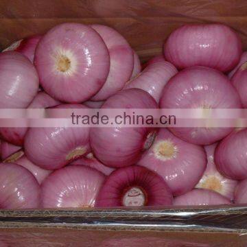 Onion Multiple Layer Continuous Type Mesh Belt Dryer photo-6