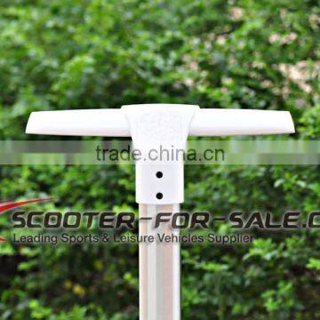 Big Discount 2 Wheel Electric Standing Scooter / Mobility Scooter / Electric Chariot photo-5