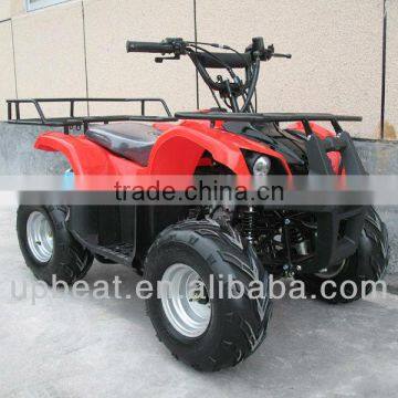 NEW DIRT AUTO QUAD BIKE ATV BUGGY 110cc PEEWEE CYCLONE