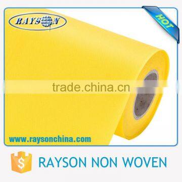China Wholesale Colorful PP Non Woven Ego Bag Fabric for Bag Used for Shopping photo-6