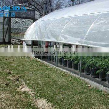 Plastic Film Covered Economic Tunnel Greenhouse For Agricultural Planting photo-5