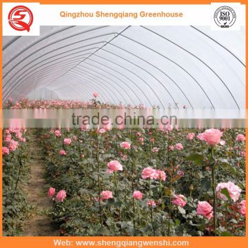 China supplier multi-span 8.0m PE film agriculture greenhouse plastic for sale