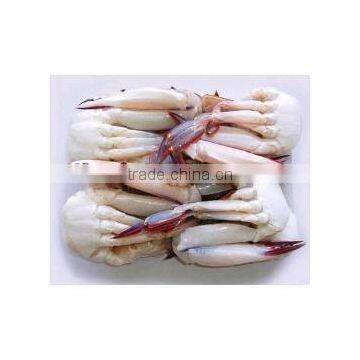 frozen quality deep sea crab cooking