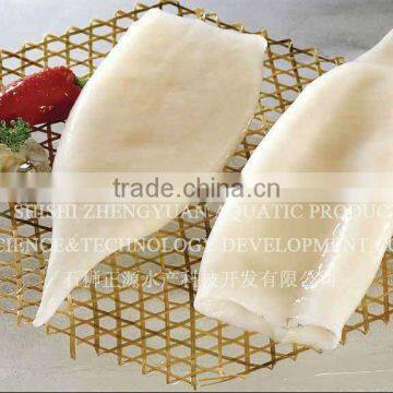 China exporter frozen argentina squid illex argentinus