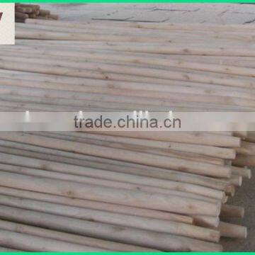 Eucalyptus Wooden Snow Shove Handle photo-4