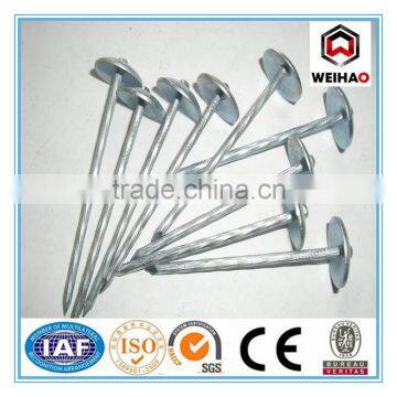 umbrella roofing nails with rubber washer