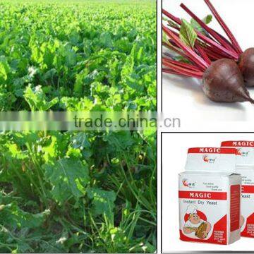 Esteemed Yeast Factory of Low Sugar and High Sugar Swelling Instant Dry Yeast China Supplier photo-6