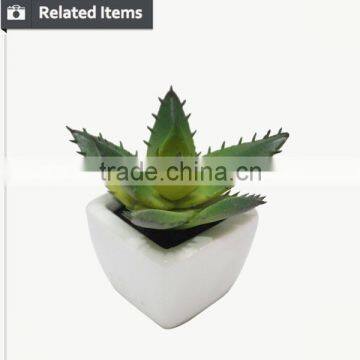 Customized Design Sweet Desert Rose for Table Decoration photo-3
