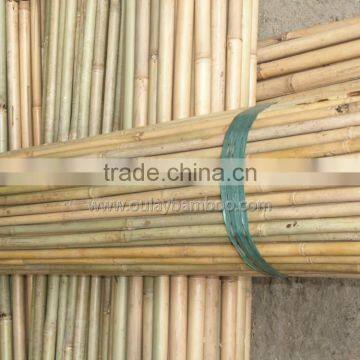 Nature Dry Straight Farming Bamboo Sticks for Sales