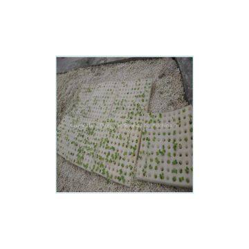 Sightseeing Agriculture Eco-friendly Use Breathable Healthy Seeding Planting Foam photo-2