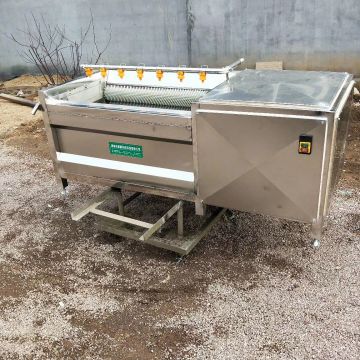 Electric Motor Fruit Automatic Fruit And Vegetable Washer